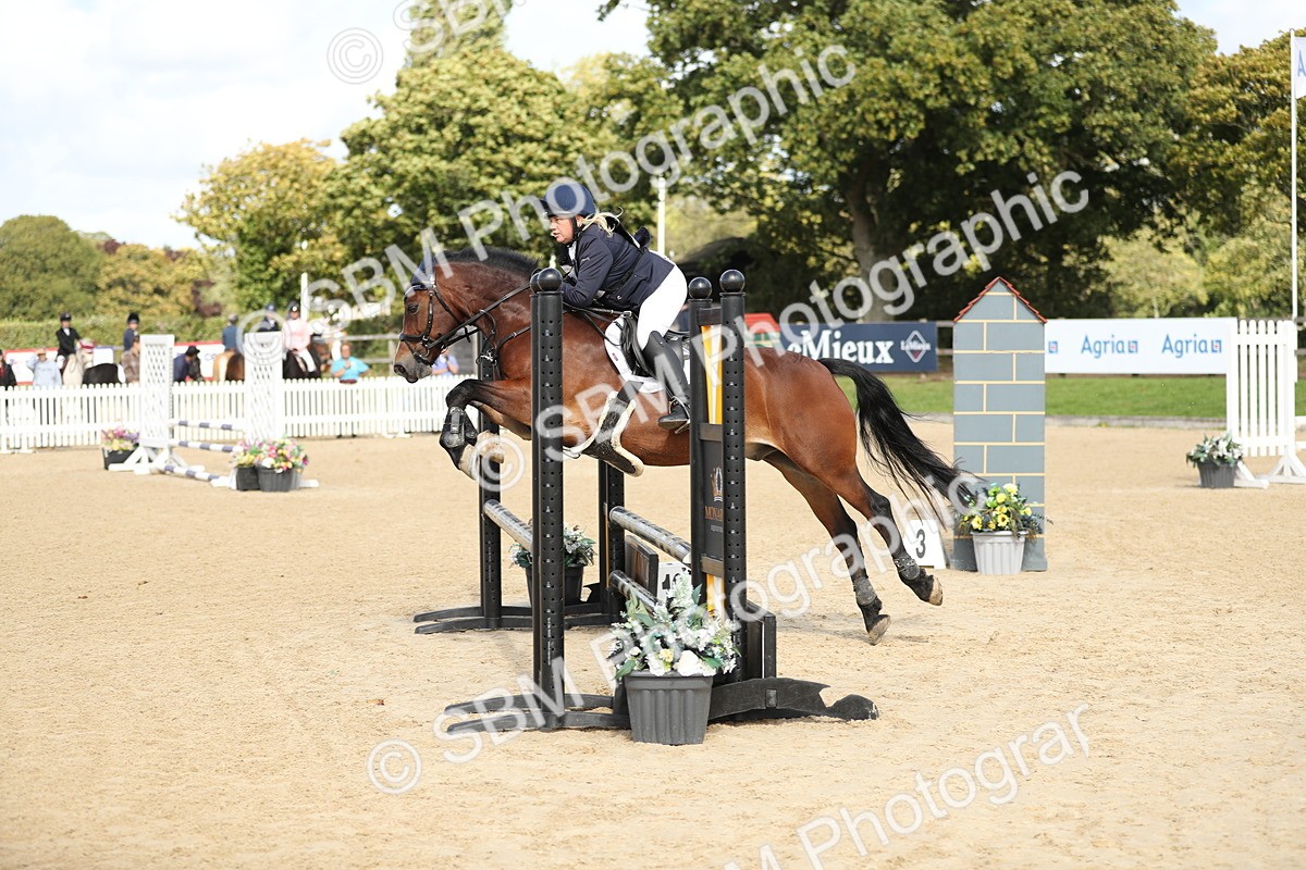 SBM_08462 - J30 - Senior Horse & Pony 70cm Championship