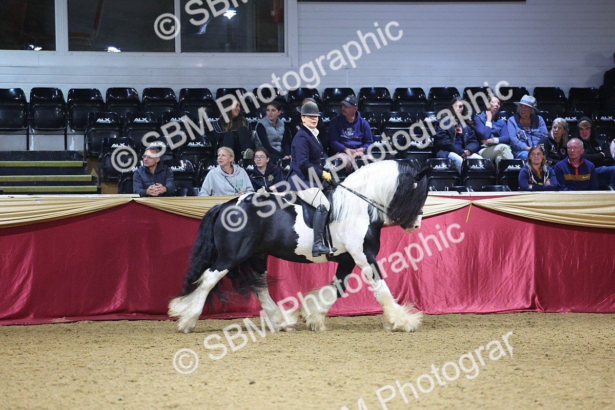 0B8A4801 - Class T Champion of Champions