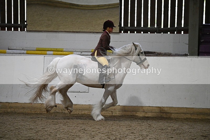 WJ7_3690 - Class 16 Ridden Coloured/ Odd Coloured