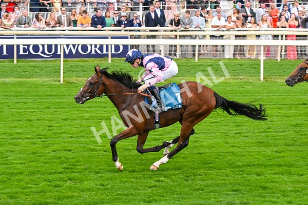 250725-Race 3-Amakhala Warrior-5744 - Race 3 6.38pm Ire-Incentive, It Pays To Buy Irish EBF Restricted Novice Stakes