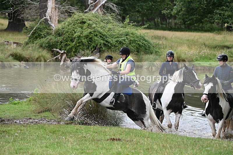 WJ7_3008 - Time at Water 11:37 to 12:13