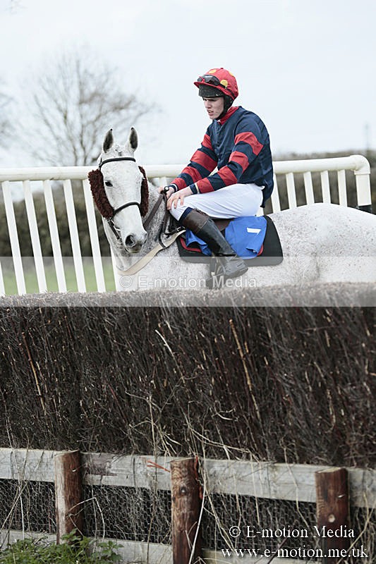 PtP 230319 65 - VWH Hunt Siddington Point-to-Point Racing 23/03/19