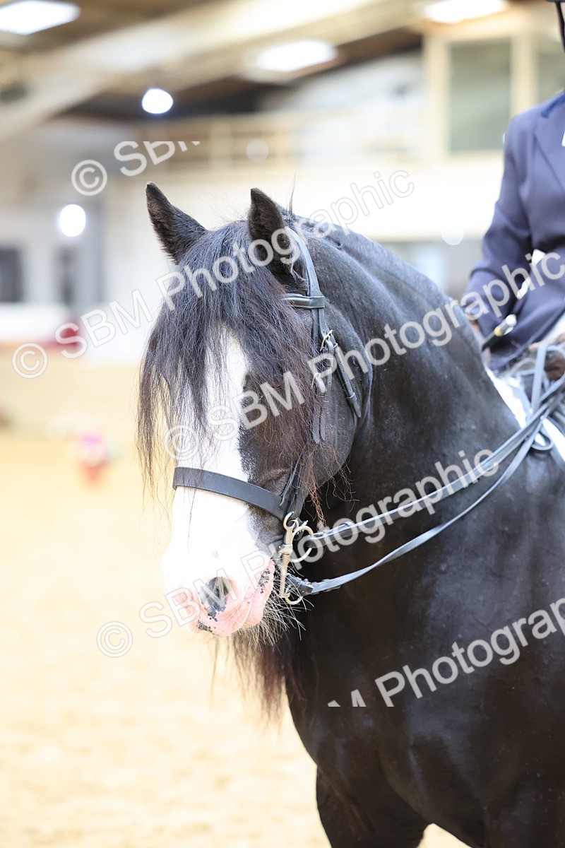 SBM_24424 - Class 906 - Supreme Final - Ridden Pre Vet