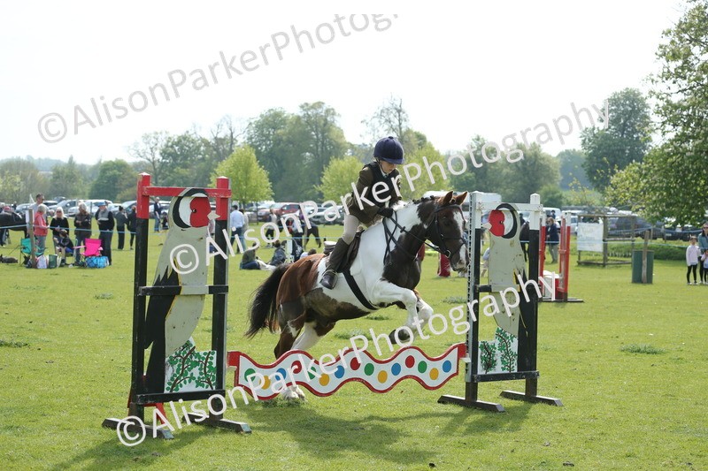 20260426-1597 - Class 14 - Novice 60cm