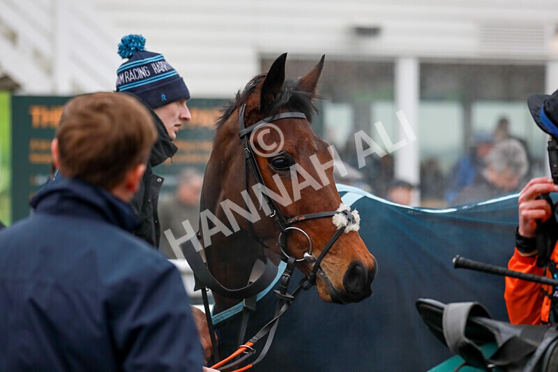 310125-Race 3-Turn And Finish-4471 - Race 3