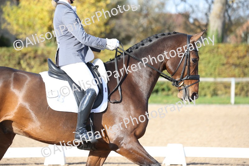 20251102-1040 - Class 5 - Elementary 5