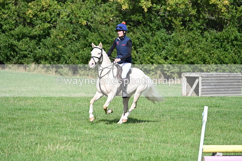 WJ7_8495 - 60cm Pairs