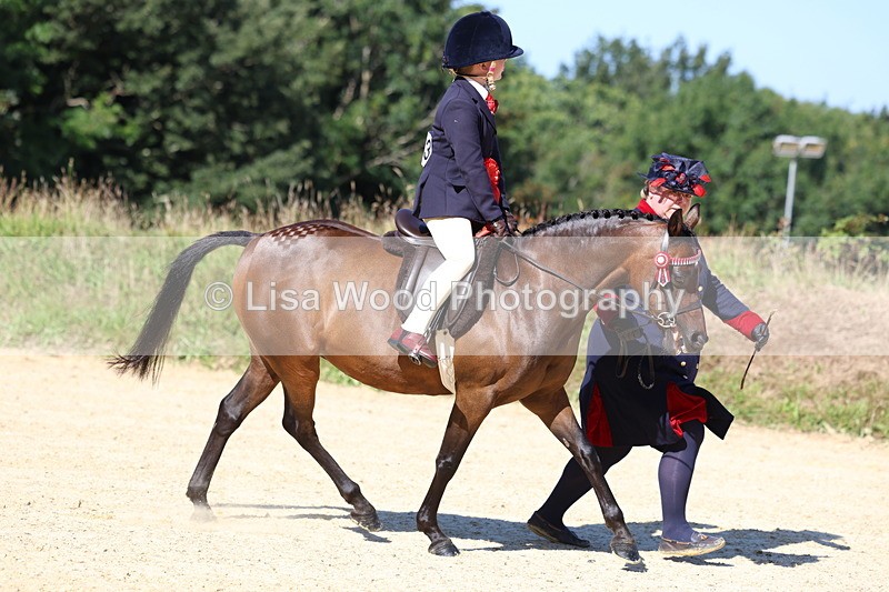 3E7A7976 - Class 14: Tack and Turnout