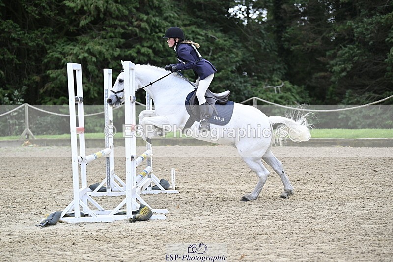 251005A-130516-04042 - Cls 08 Mini 70-75cm