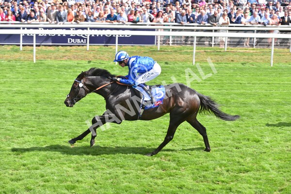 yr20082022r1-40 - Race 1 1.50pm Sky Bet & Symphony Group Strensall Stakes