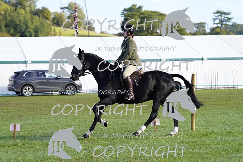 _DSC9379 - Class 8 & 17 Ridden Hunter & Ridden Hunter Pony