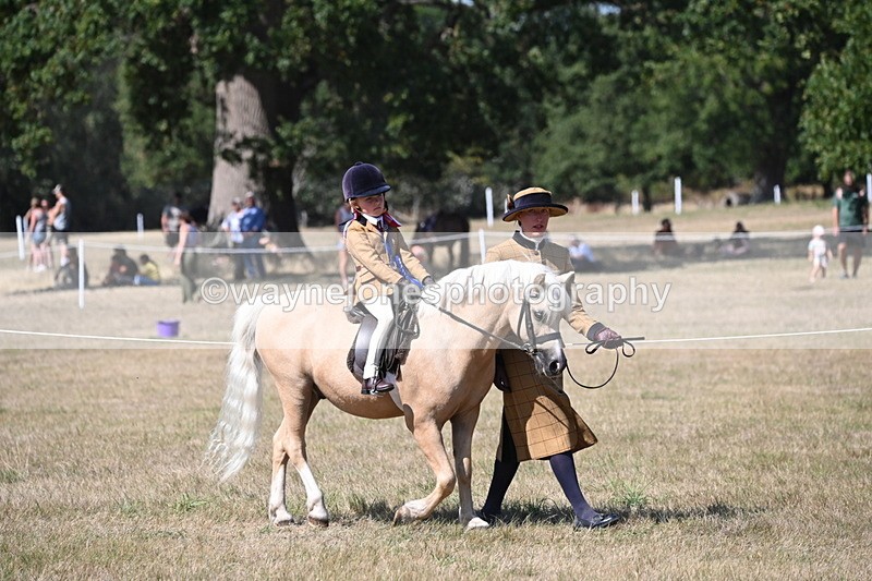 WJ6_9112 - Championship Classes 33-38