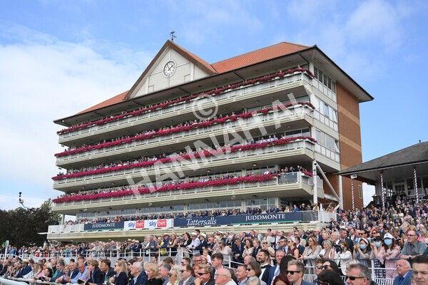 yr18082021r1-48 - Race 1 1.50pm Sky Bet & Symphony Group Stakes