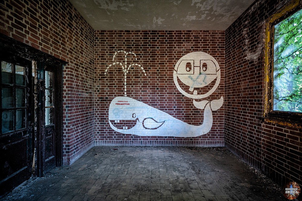  - Abandoned Asylums and Institutions