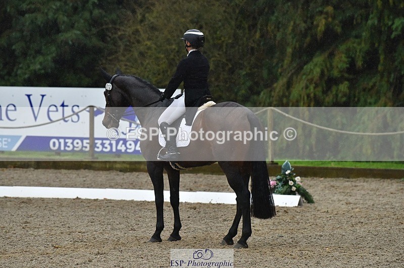 231018-154422-00862 - 012-ROMANY.CRICKET-Nana.Dalton-DR