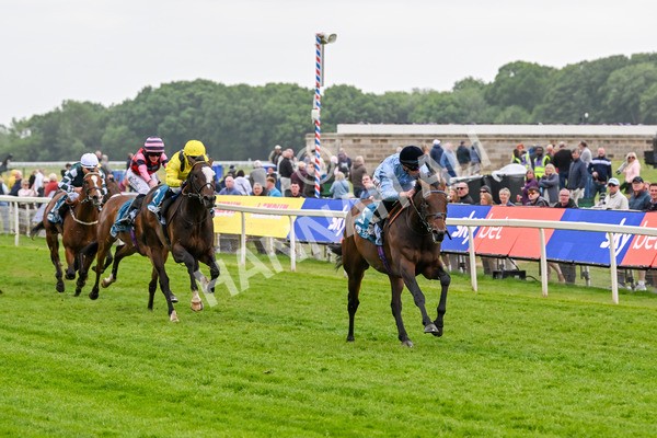 150525-Merchant-5315 - Race 7 5.25pm Haxby Handicap