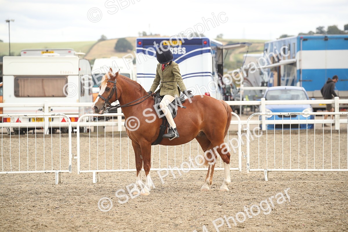 SBM_17890 - Class 508b - Working Veteran 70cm (20+)