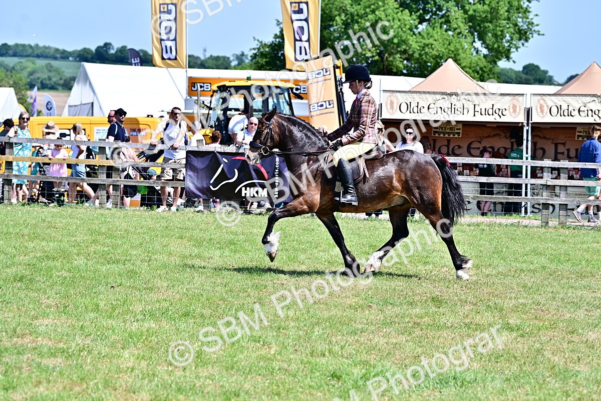 SBM_15416 - Class 95-97 - BSPS LHS Performance Ponies