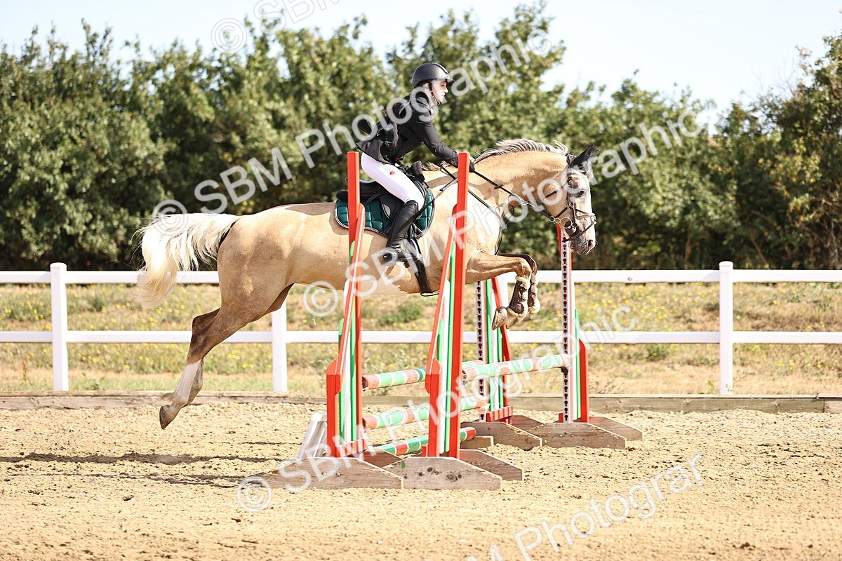 SBM_000113 - Class 1 - Clear Round