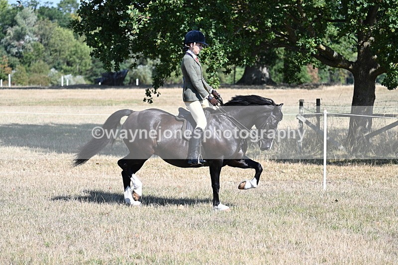WJ7_3712 - Class 9 Mountain & Moorland Ridden