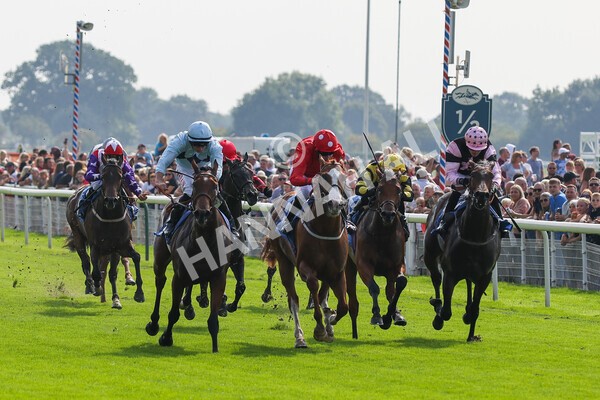 yr05092021r1-19 - Race 1 2.10pm IRE-Incentive It Pays To Buy Irish ebfstallions.com Novice Stakes