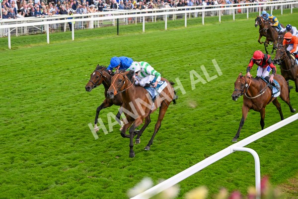 220824-Race 6-Angel Hunter-7848 - Race 6 4.45pm sensory-junction.co.uk Autism Awareness EBF Stallions Nursery Handicap