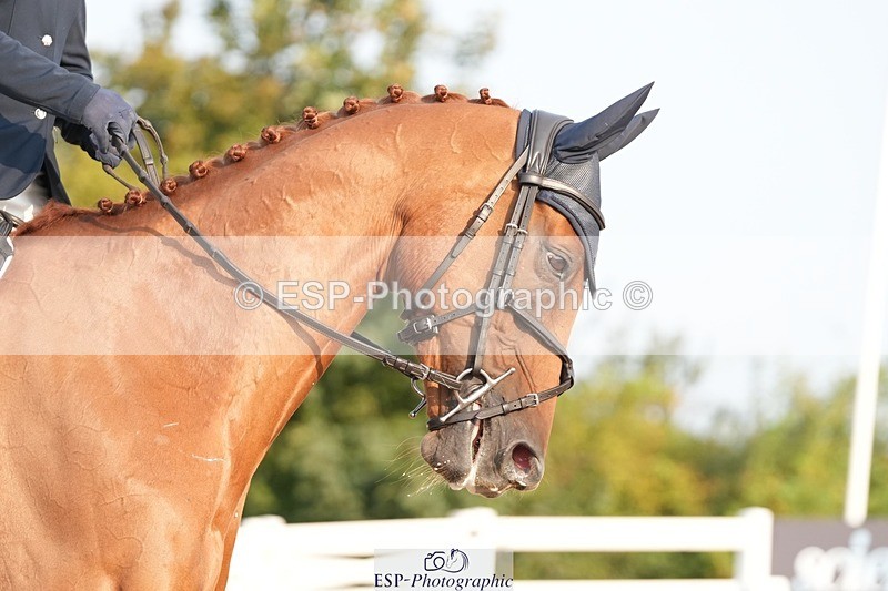 250817-083106-07265 - 142-Emma-Jane.BrownLord.in.Red