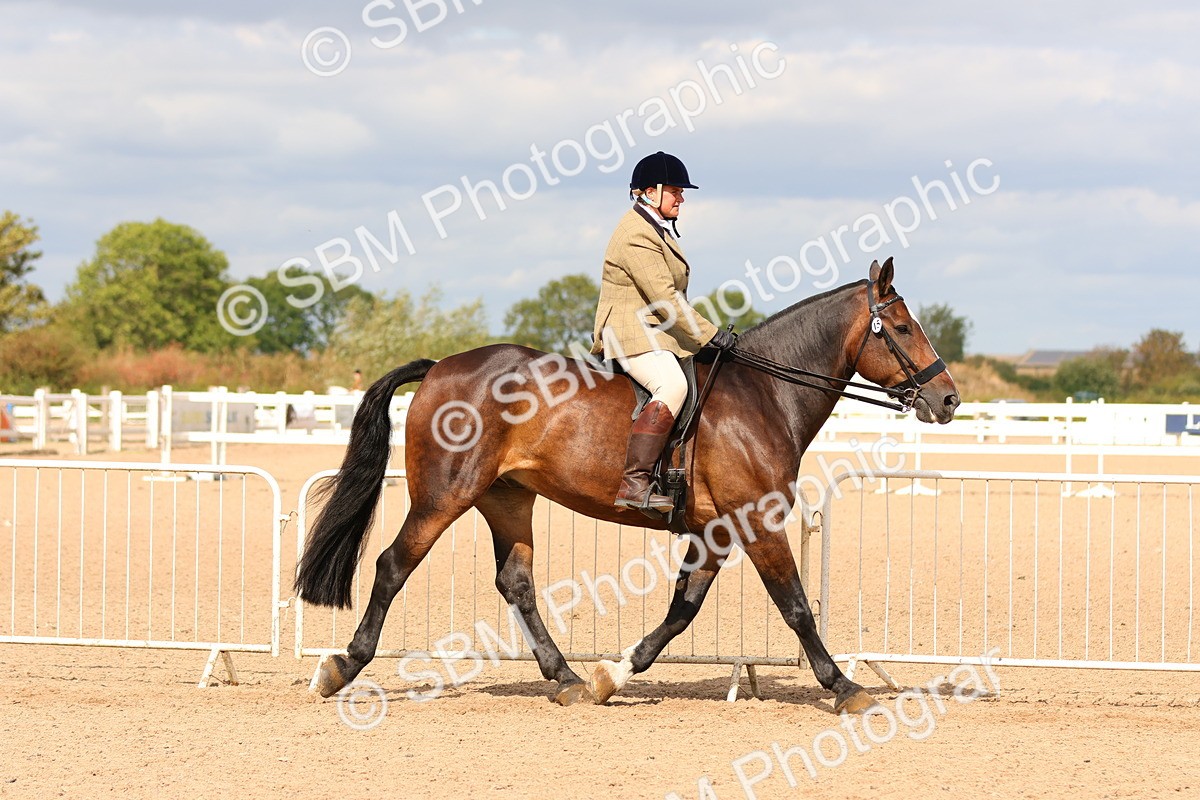 SBM_15486 - Class 214 - Ridden Show Cob
