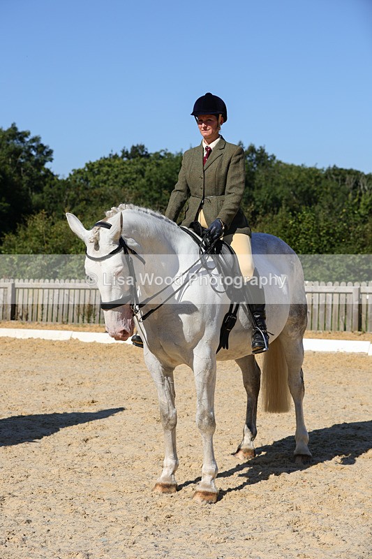 1X9A7829 - Class 9: Open Ridden Hunter