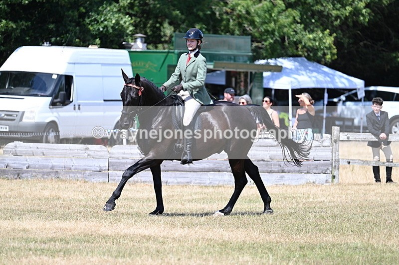 WJ7_3570 - Class 8 Ridden Veterans