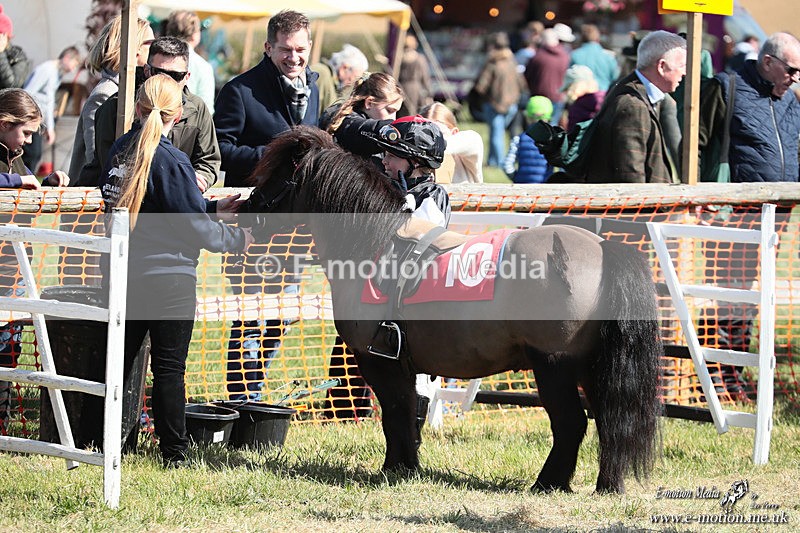 Shet 060426 391 - Shetland Pony Racing Paxford Races Easter Mon 06/04/26