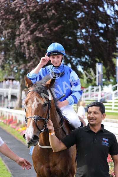 yr08072022r7-27 - Race 7 5.30pm Jigsaw Sports Branding Handicap