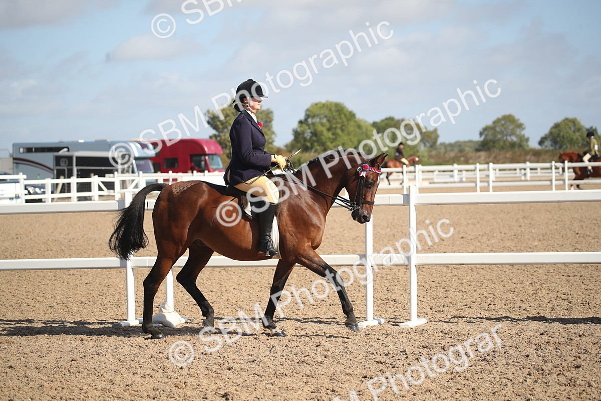 SBM_22759 - Class 602 - 2026 Area - Ridden Veteran
