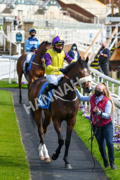 yr13052021r6-18 - Race 6 4.15pm Constant Security EBFstallions.com Maiden Stakes