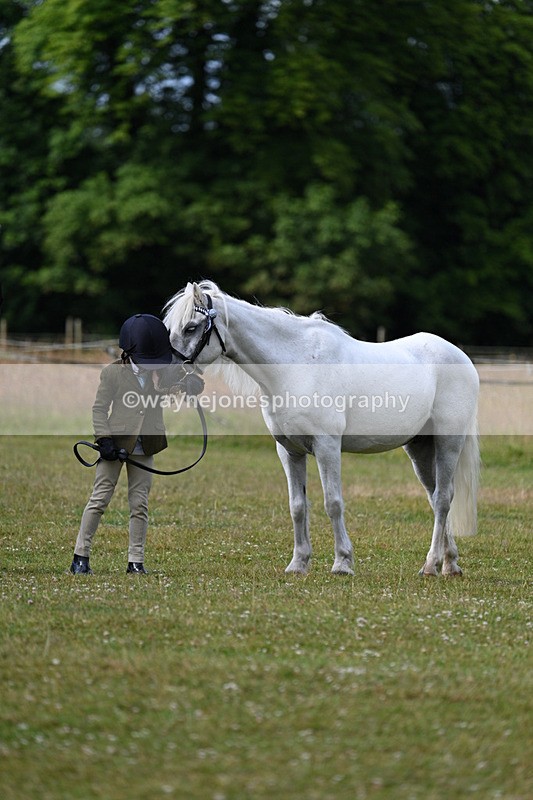 WJ7_4538 - Class 1 Lead Rein Pony