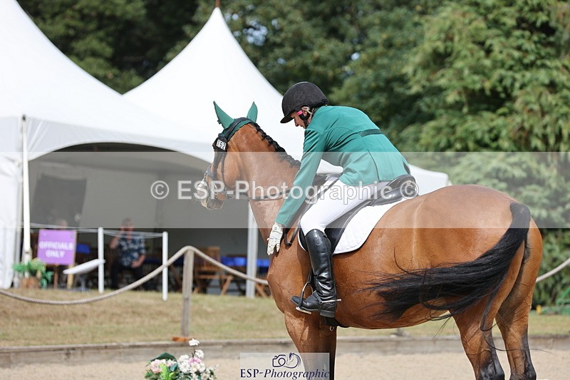 250718A-153216-02604 - 152-Tracy.OKennedy-Wylye.Harlequin