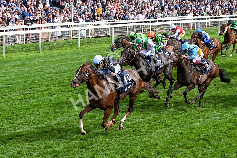 210826-Race 4-Bacio-0254 - Race 4 15.35pm Coolmore City Of Troy Nunthorpe Stakes