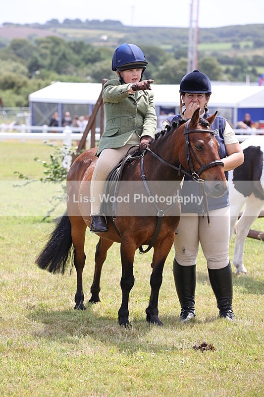 JPP_1888 - Class 18: Tiny Tots Working Hunter Pony