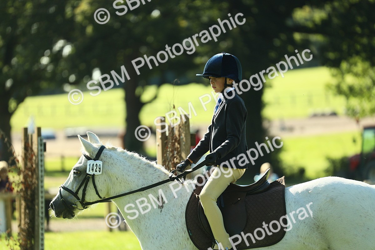 SBM_36489 - S29 - Novice & Newcomers Working Hunter Pony