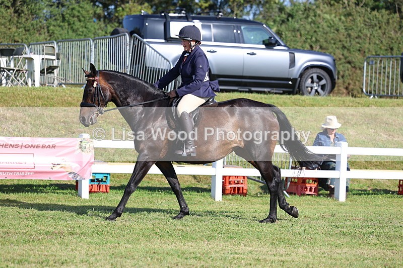 3E7A5479 - Class 2: Rising Star Large Hack/Riding Horse