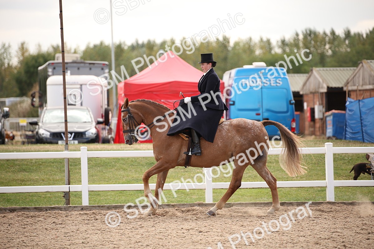 SBM_06647