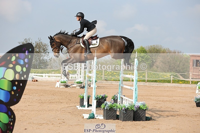 250424-102621-03013 - Cls 33 Young Horse 7yr old