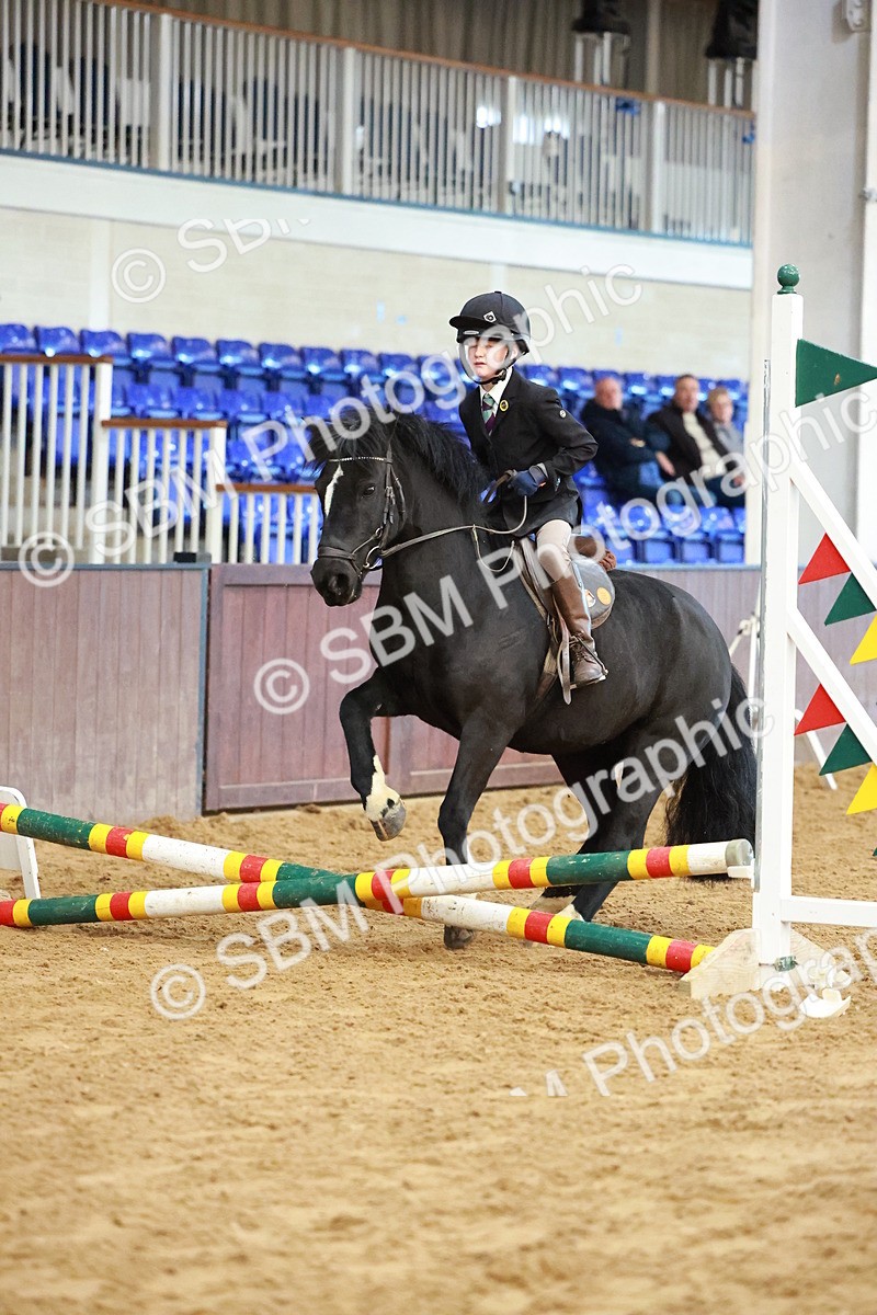 SBM_005176 - Class 1 - 40cm