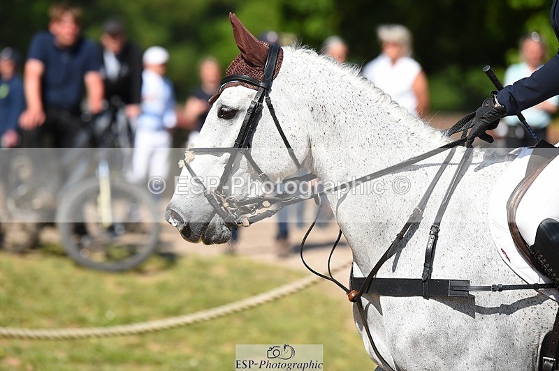 230528-100018-14732 - 203-DHI_CHILLI_START-Sophie_Hodgson-SJ