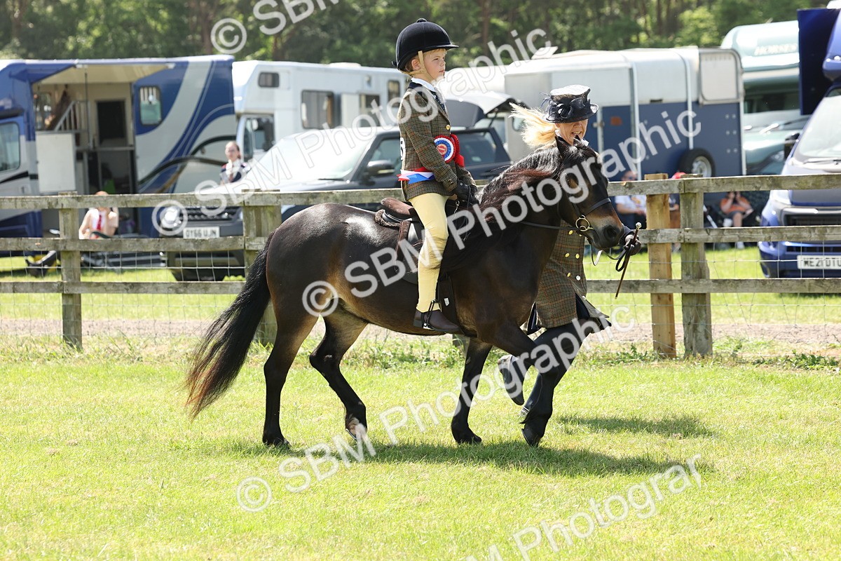SBM_05427 - Class 24-25 - Mountain & Moorland In Hand Lead Rein and First Ridden