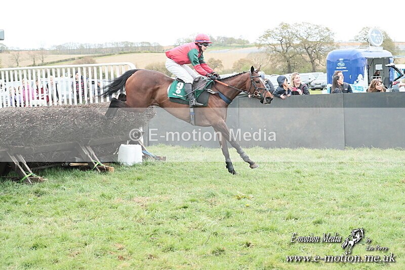 PtP 130425 292 - Edgecote Races 13/04/25