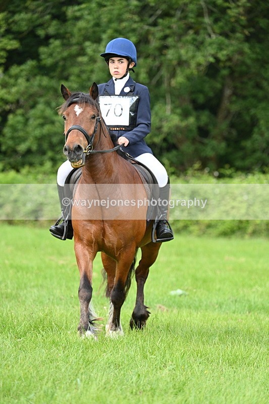 WJ7_1016 - Class 11 Condition & Turnout