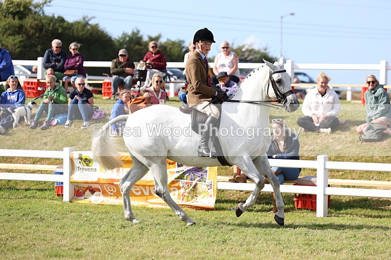 3E7A3847 - Supreme Championship