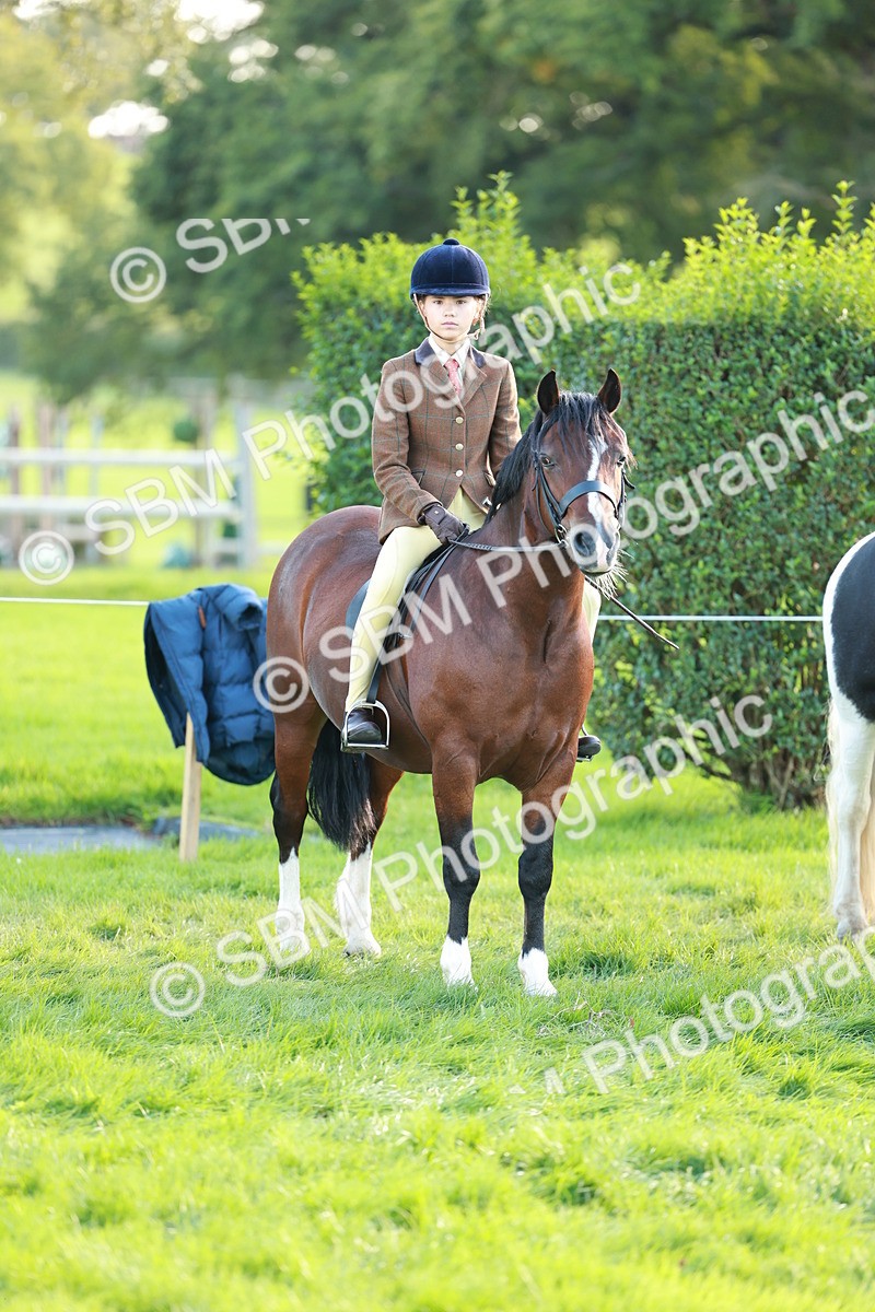 SBM_28784 - S7 - Novice & Newcomer Ridden Pony