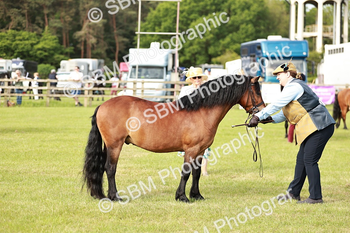 SBM_00526